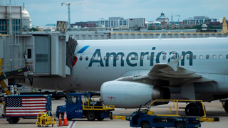 American Airlines Sued for Racial Discrimination After Black Passenger Removed From Flight